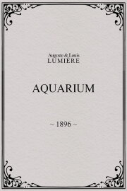 Aquarium Aquarium