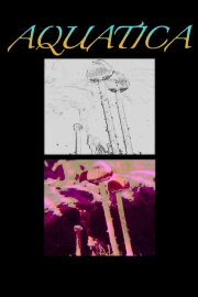 Aquatica: The Underwater Mushroom Aquatica: The Underwater Mushroom