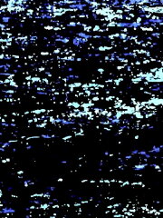 Ashes of light