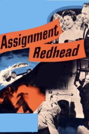 Assignment Redhead Assignment Redhead