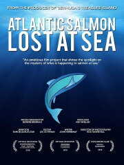 Atlantic Salmon: Lost at Sea Atlantic Salmon: Lost at Sea