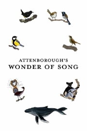 Attenborough's Wonder of Song