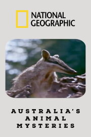 Australia's Animal Mysteries Australia's Animal Mysteries