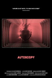 Autoscopy