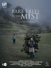 Bare Trees in the Mist