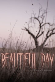 Beautiful Day Beautiful Day