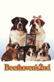 Beethoven's 2nd Beethoven's 2nd