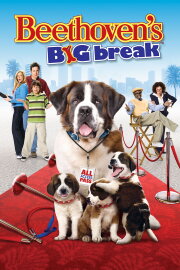 Beethoven's Big Break Beethoven's Big Break