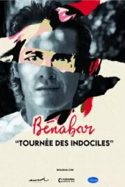 Bénabar - Tournée des indociles