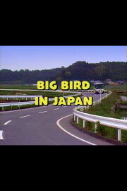 Big Bird in Japan