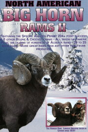 Bighorn Rams 2 Bighorn Rams 2
