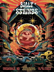 Billy Strings: 2022.11.11 - Nassau Veterans Memorial Coliseum - Uniondale NY