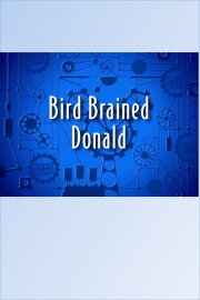 Bird Brained Donald Bird Brained Donald