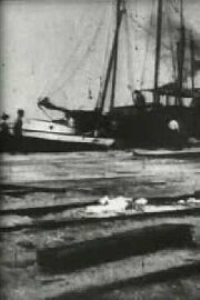 Bird's-Eye View of Dock Front, Galveston