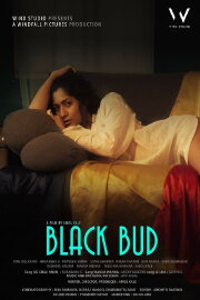 Black Bud Black Bud