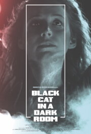 Black Cat in a Dark Room