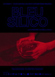 Bleu Silico