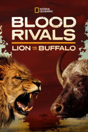 Blood Rivals: Lion vs Buffalo