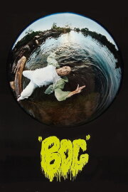 Bog Bog