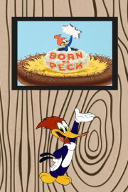 Born to Peck Born to Peck