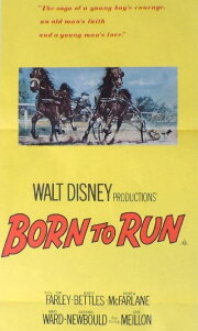 Born to Run Born to Run