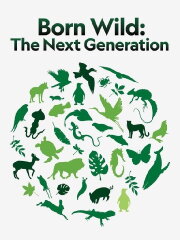 Born Wild: The Next Generation