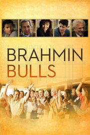 Brahmin Bulls Brahmin Bulls