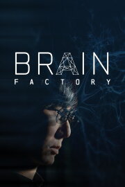 Brain Factory Brain Factory