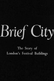 Brief City