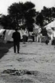 Brindisi '65