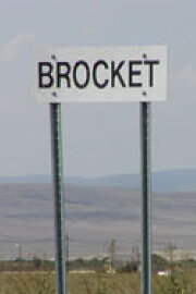 Brocket 99: Rockin' the Country Brocket 99: Rockin' the Country