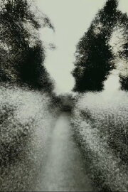 Brouillard #19