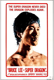 Bruce Lee Superdragon