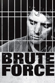 Brute Force Brute Force