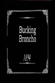 Bucking Broncho