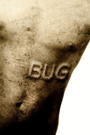 Bug Bug