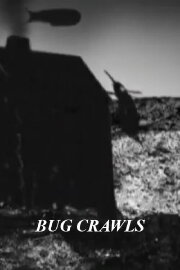 Bug Crawls Bug Crawls