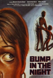 Bump in the Night Bump in the Night