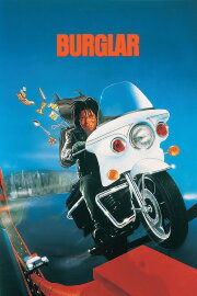 Burglar Burglar