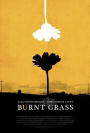 Burnt Grass Burnt Grass