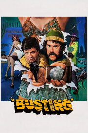 Busting Busting