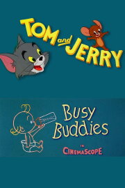 Busy Buddies Busy Buddies