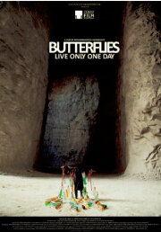 Butterflies Live Only One Day