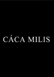 Cáca Milis Cáca Milis