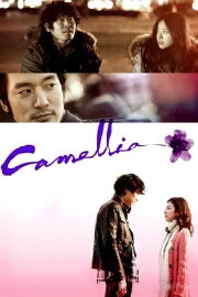 Camellia Camellia