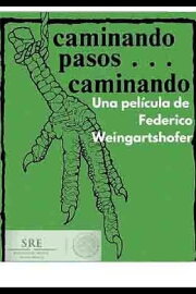 Caminando pasos... caminando