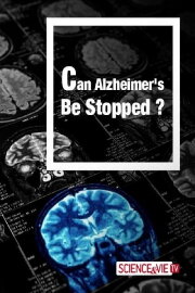 Can Alzheimer's Be Stopped Can Alzheimer's Be Stopped