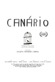 Canário Canário