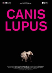 Canis lupus Canis lupus