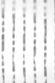 Capture d’écran #1